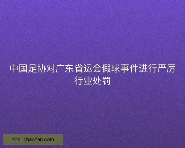 中国足协对广东省运会假球事件进行严厉行业处罚